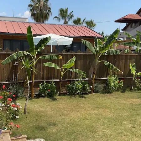 Wooden Stage Homes *