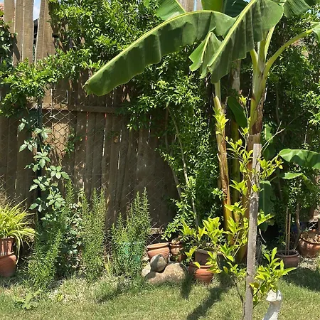 Casa de Férias Wooden Stage Homes