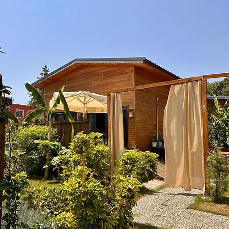 Wooden Stage Homes Φετιγιέ