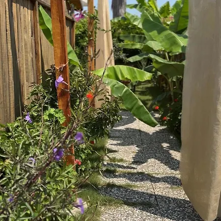 Wooden Stage Homes * فتحية