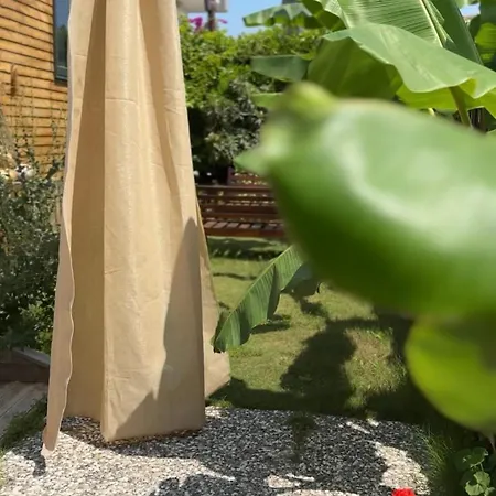 Wooden Stage Homes *