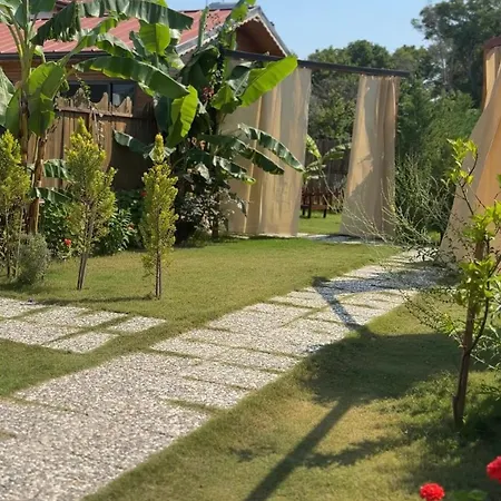 بيت للعطل Wooden Stage Homes