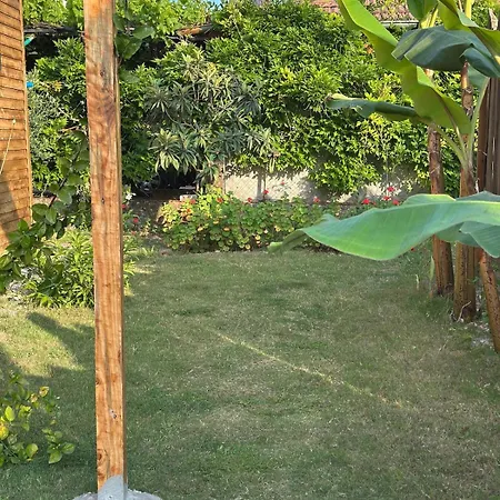 Wooden Stage Homes * Φετιγιέ