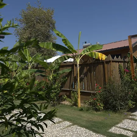 Wooden Stage Homes بيت للعطل