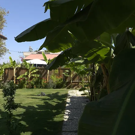 Wooden Stage Homes * Fethiye