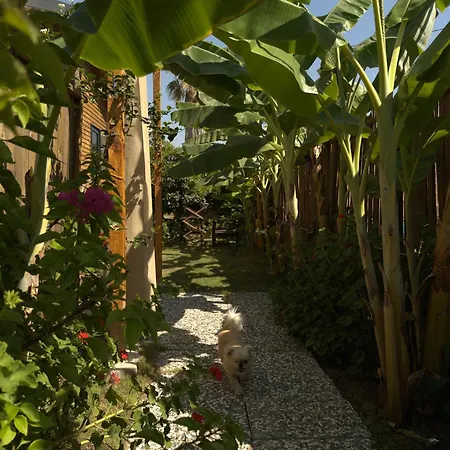 بيت للعطل Wooden Stage Homes فتحية