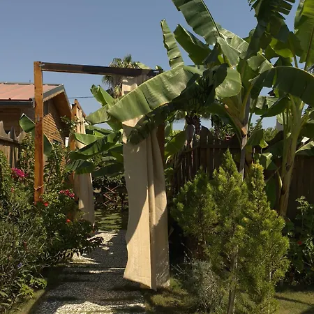 Wooden Stage Homes * Φετιγιέ