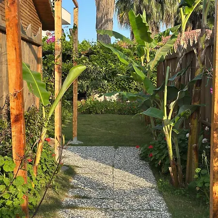 Wooden Stage Homes *