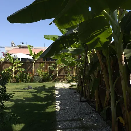 Wooden Stage Homes 度假居 费特希耶