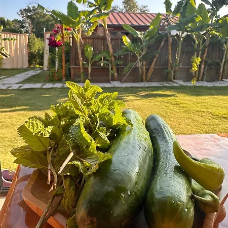 度假居 Wooden Stage Homes