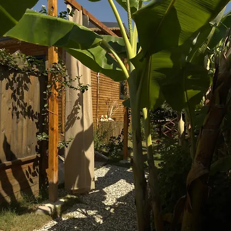 Wooden Stage Homes * 费特希耶